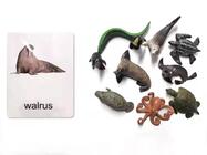 10 Mini Marine animals models with corresponding cards